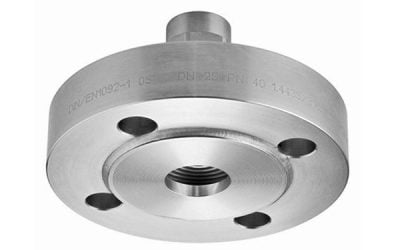 Small Flanged Diaphragm Seal