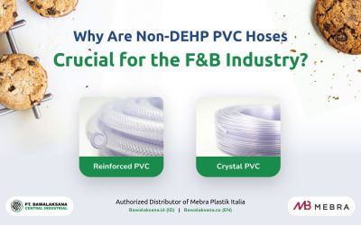 Why Non-DEHP PVC Hoses Are Essential for the F&B Industry